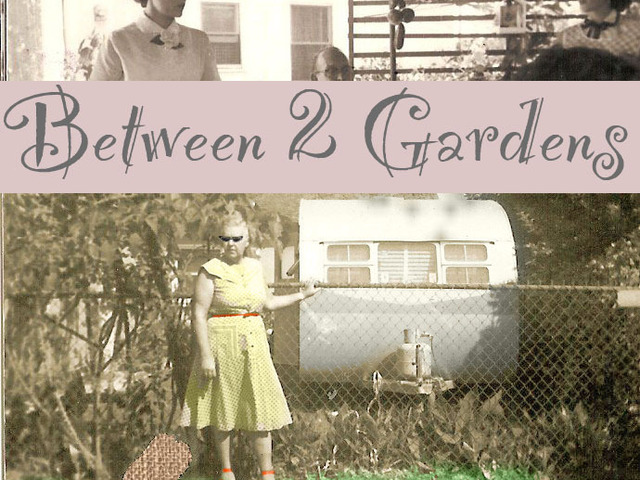 Between Two Gardens's video poster